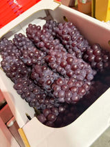 島根デラウェア葡萄 Shimane Delaware Seedless Grapes 2kg 秀L | Premium Japanese Seedless Red Grapes JA Shimane | Heng Fruits Singapore