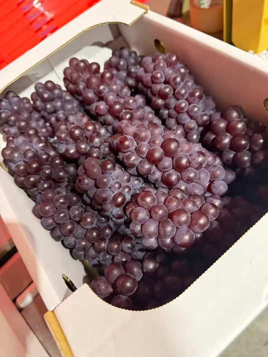 島根デラウェア葡萄 Shimane Delaware Seedless Grapes 2kg 秀L | Premium Japanese Seedless Red Grapes JA Shimane | Heng Fruits Singapore