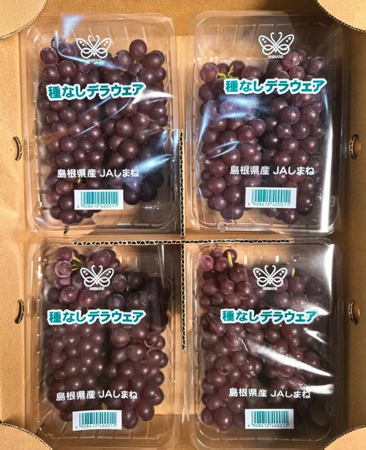 島根デラウェア葡萄 Shimane Delaware Seedless Grapes 350g x4 | Premium Japanese Seedless Red Grapes JA Shimane | Heng Fruits Singapore