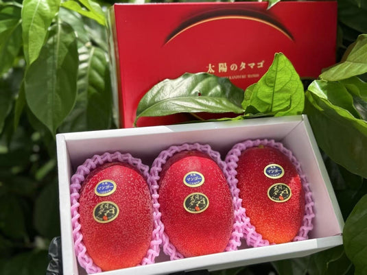 Miyazaki Taiyo no Tamago Egg of the Sun Mango 3pcs gift box Singapore | Heng Fruits