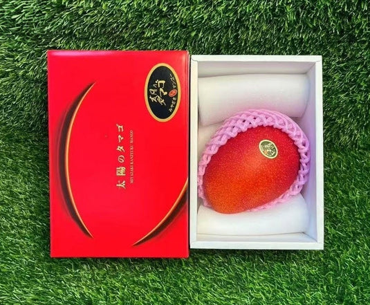 Miyazaki Taiyo no Tamago Egg of the Sun Mango 1pc gift box Singapore | Heng Fruits