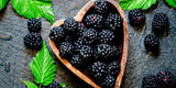 🎪 SC Fair – Blackberries / Raspberries