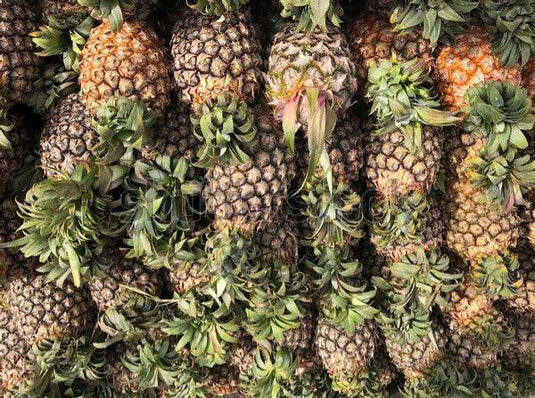 Pineapple (Malaysia) Heng Fruits