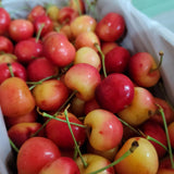 White Cherry (Rainer/Skylar) - 500g Heng Fruits
