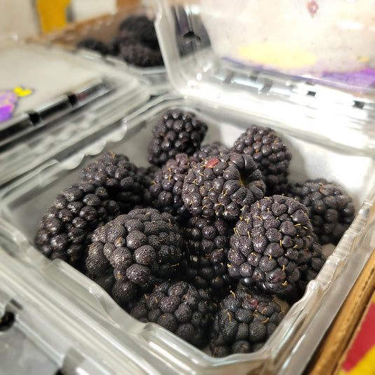 Blackberry - Driscoll's Heng Fruits