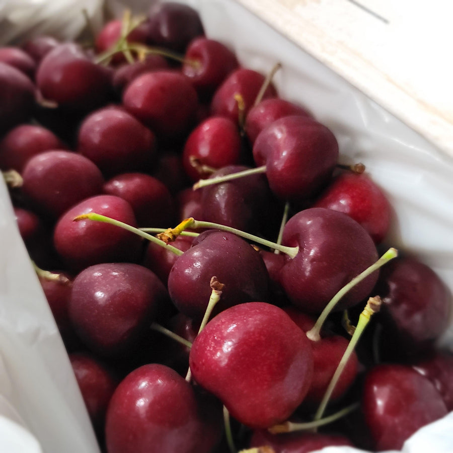 Red Cherry