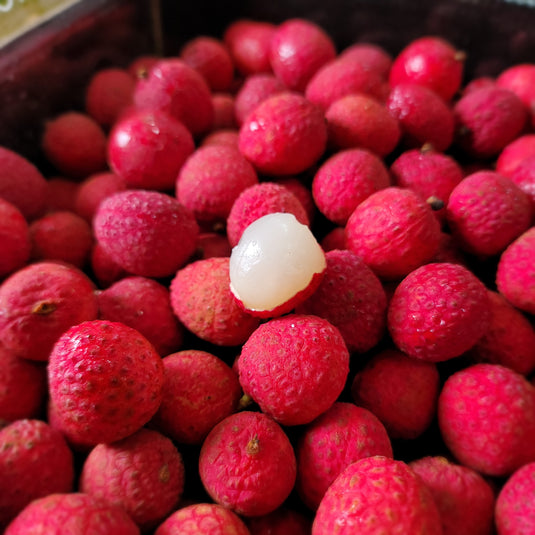 Lychee - 糯米芝 Heng Fruits