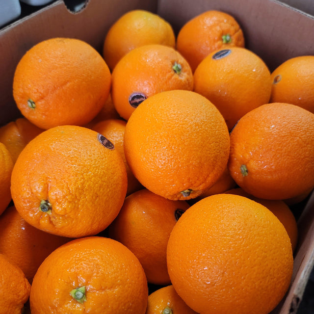 Navel Orange  - 5 pieces Heng Fruits