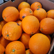 Navel Orange  - 5 pieces