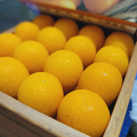 Kumquat (Japan) Heng Fruits