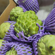 Custard Apple