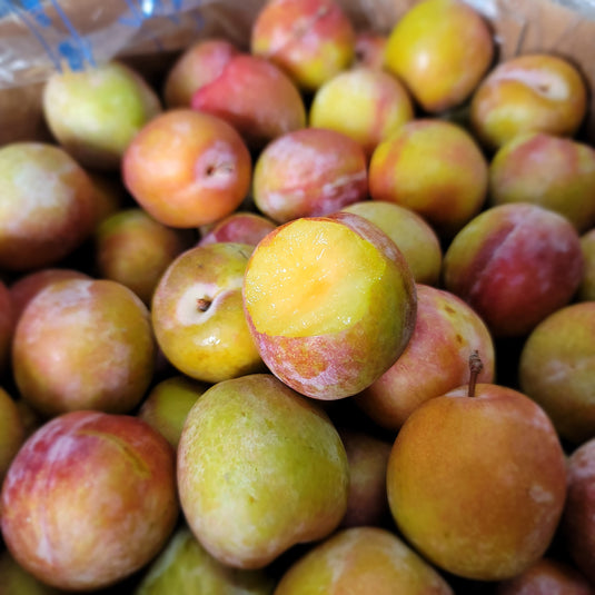 Plums Heng Fruits