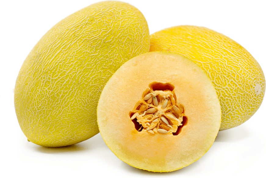 Hami Melon (China)