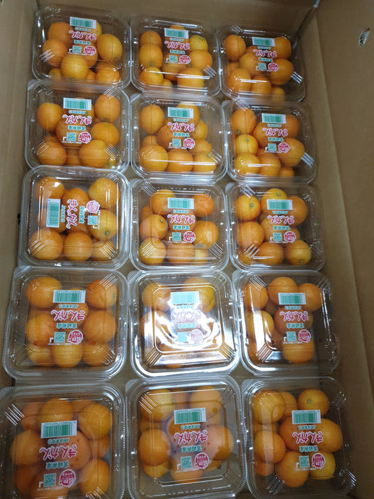 Kumquat (Japan) Heng Fruits