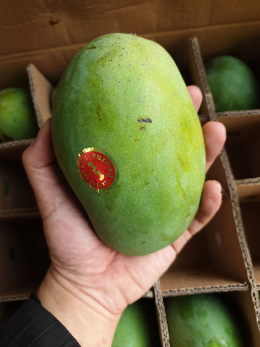 Mango - Harumanis (Indonesia) Heng Fruits