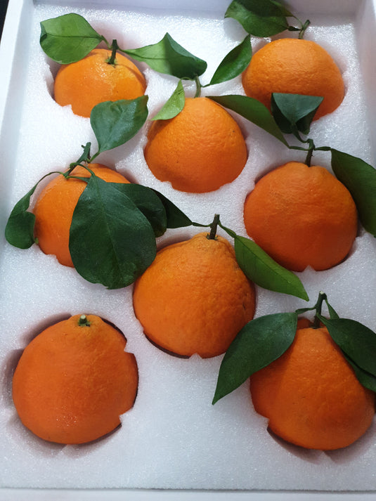 Mandarin Orange - 红美人 Red Beauty (China) Heng Fruits