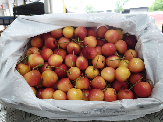 White Cherry (Rainer/Skylar) - 500g Heng Fruits