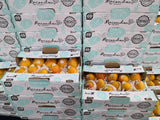 Baby Mango (1box) - Columbia Heng Fruits