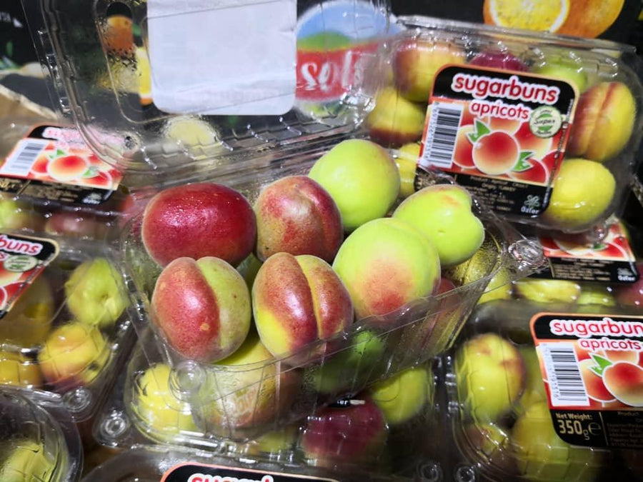 Apricot