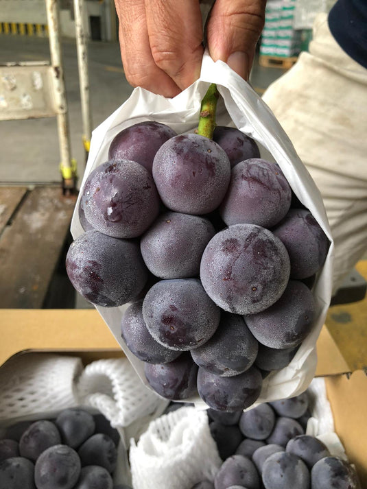 “Aurora Black” Japanese Black Premium Grapes Heng Fruits