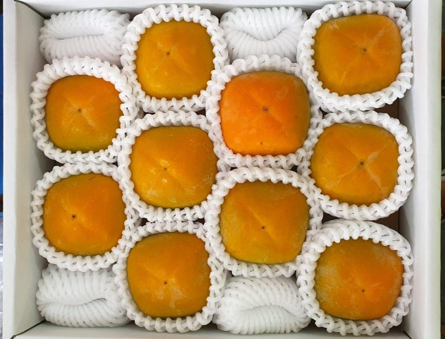 Tone Persimmon Japan とね
