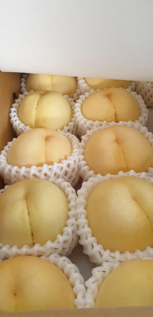 Japanese Premium Peach - White Beauty 白美人 Heng Fruits