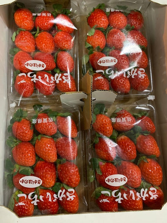 Strawberry (Japan) Heng Fruits