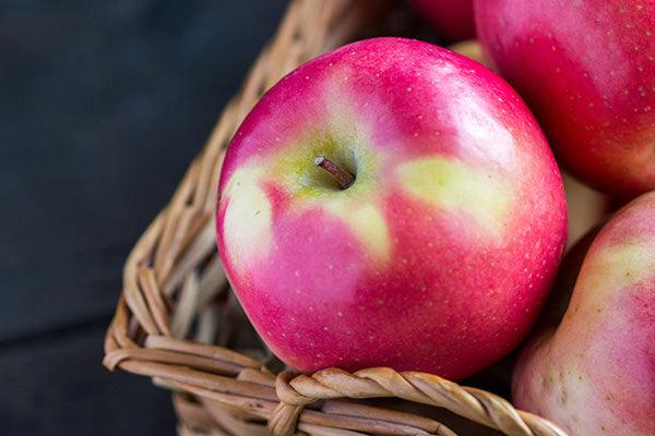 Apple - Pacific Rose