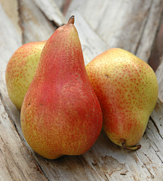 Red Pear (South Africa) Heng Fruits