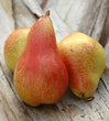 Red Pear (South Africa)