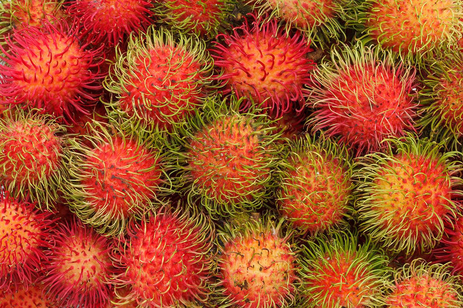Rambutan Thailand