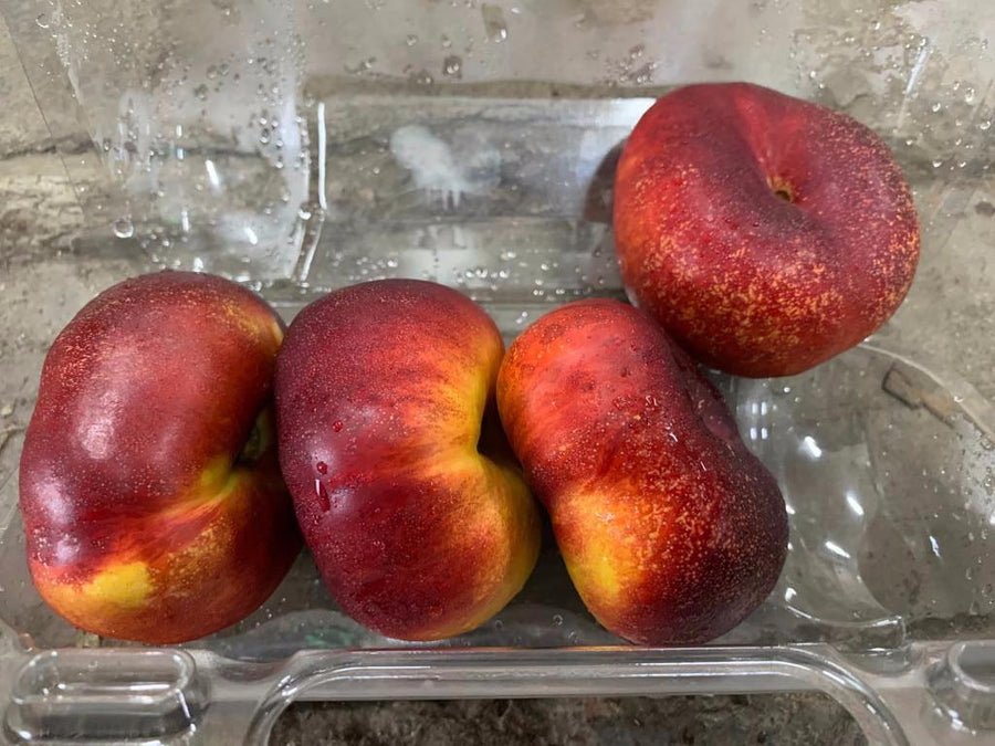 Donut Nectarine - 1 Punnet