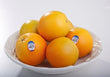 Valencia Orange - 5 pieces (Juicing)