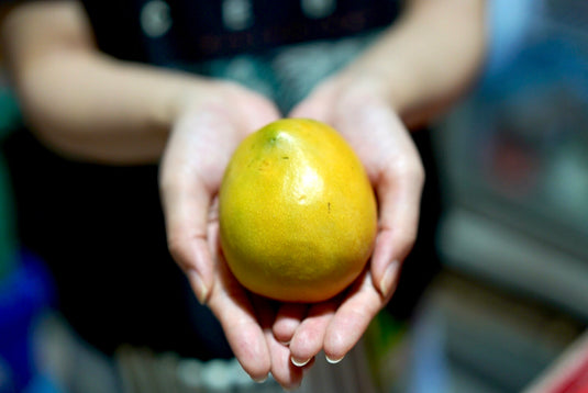 Ice cream Mango (India) Heng Fruits