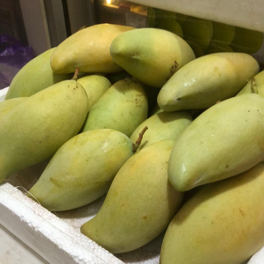 Honey Mango