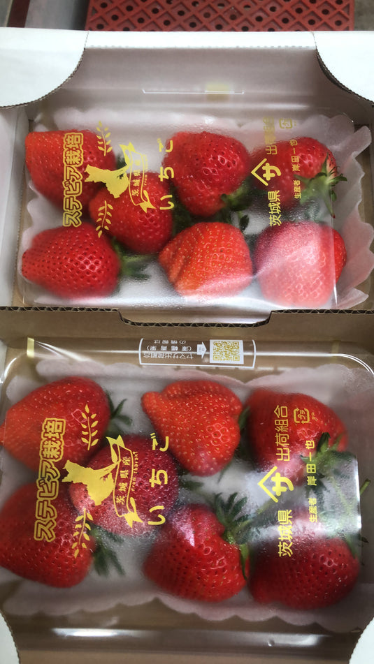 Strawberry (Japan) Heng Fruits