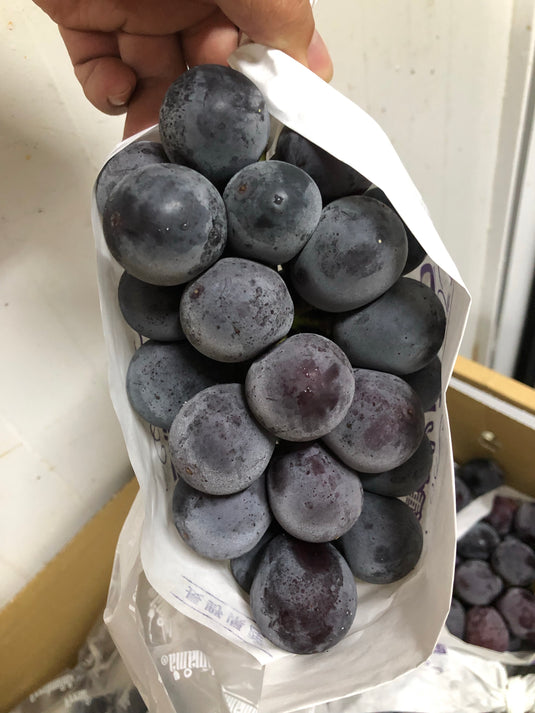 Grapes (Japan) - Kyoho 巨峰 Heng Fruits