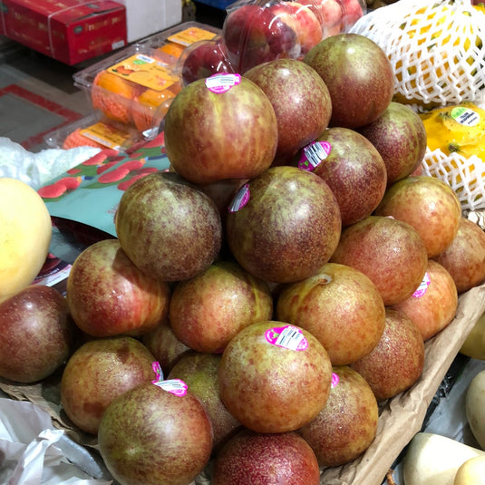 Plum - Dino variant (USA) Heng Fruits