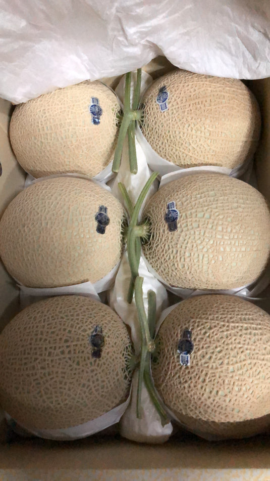 Crown Melon - Japan Heng Fruits