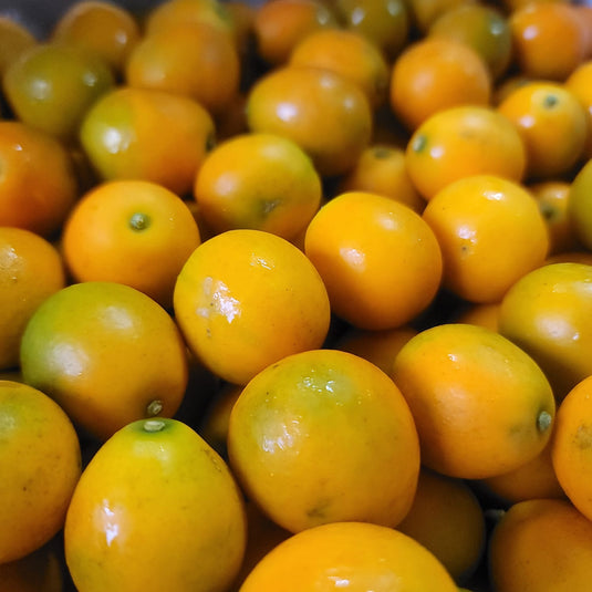 Kumquat - China Heng Fruits