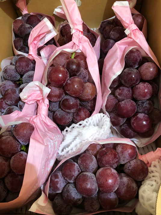 Grapes (Japan) - Kyoho 巨峰 Heng Fruits