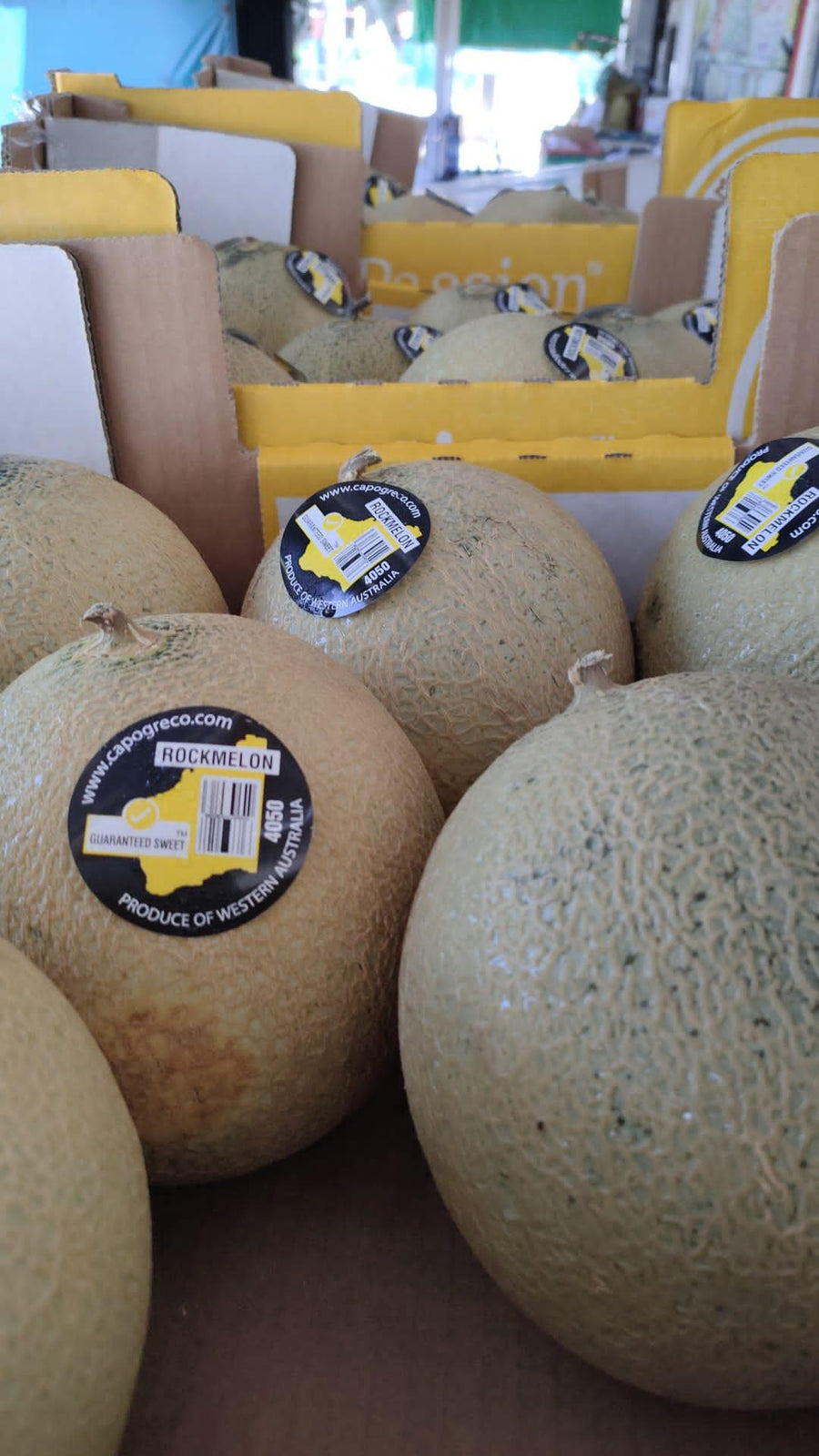 Rockmelon