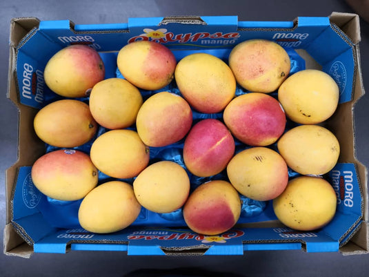 Calypso Mango Heng Fruits