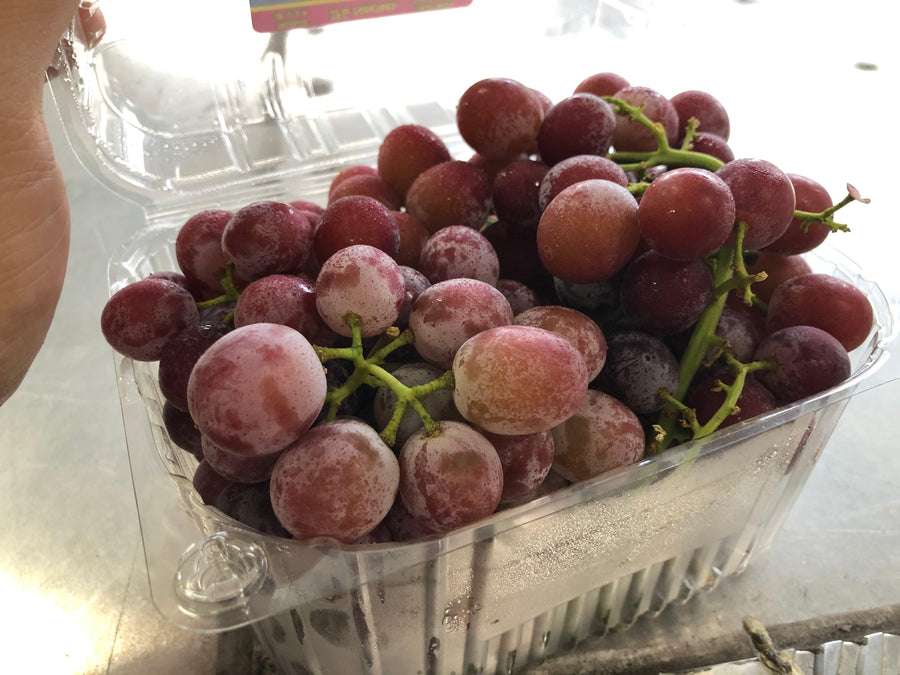 Grape - Candy Series