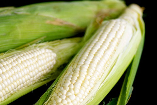 White Sweet Corn (Cameron Highlands) Heng Fruits